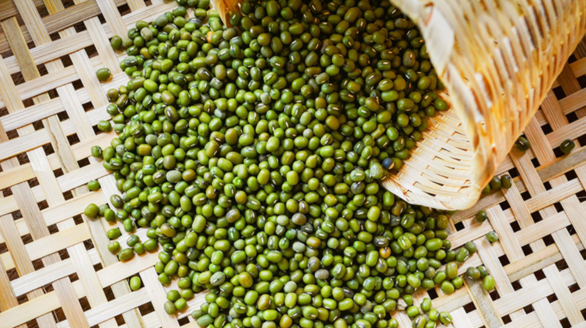 brownie cake instagram post (586 x 328 px)